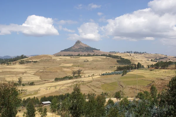 Paisaje, Gondar, Etiopía —  Fotos de Stock