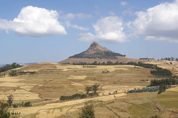 Paysage, Gondar, Ethiopie — Photo