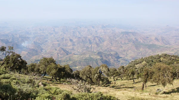 Semien 산 국립 공원, 에티오피아, 아프리카 — 스톡 사진