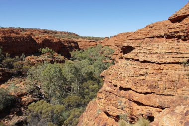 Kings Kanyon, Avustralya