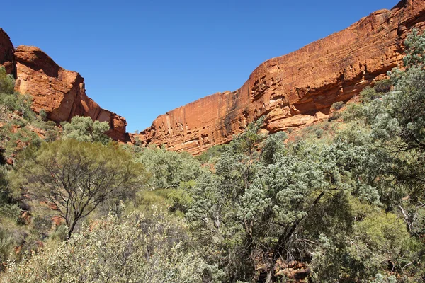 Kings Canyon, Australia — Foto Stock