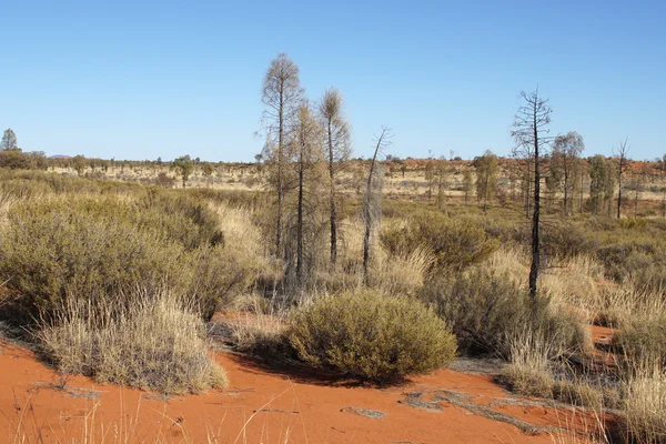 Outback, Australie — Photo