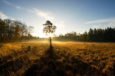 Güneşin doğuşu sırasında Solingen 'e yakın olan Ohligzer Heather' ın panoramik görüntüsü, Bergisches Toprakları, Kuzey Ren Vestfalyası, Almanya