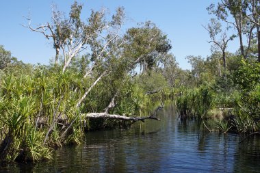 Nitmiluk Ulusal Park, Avustralya