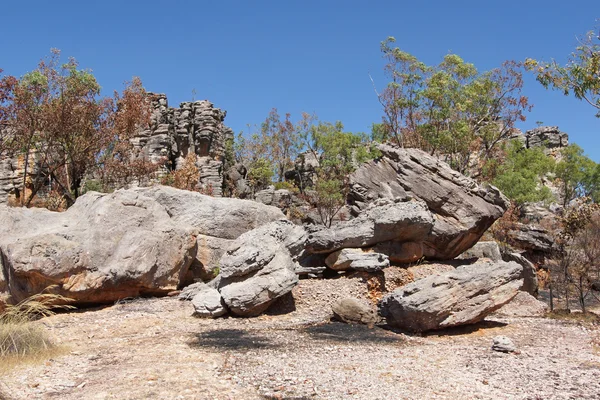 Kakadu Ulusal Parkı, Avustralya — Stok fotoğraf