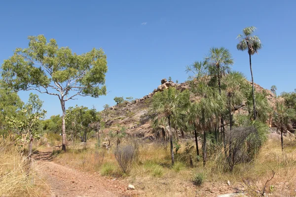 Paisaje Del Parque Nacional Nitmiluk Australia —  Fotos de Stock