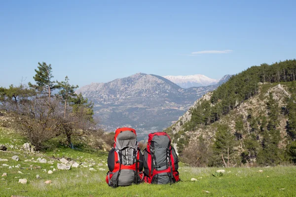 Camping mitt i skogen, skott från inne i tältet — Stockfoto