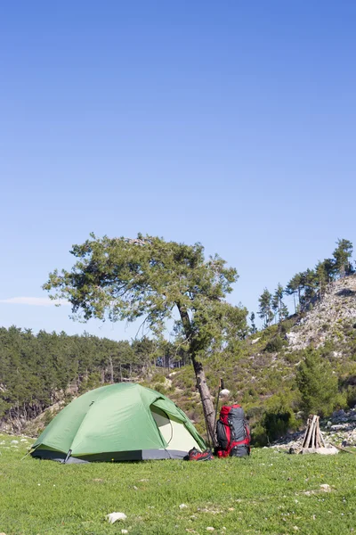 Campeggio in mezzo al bosco, sparato da dentro la tenda — Foto Stock