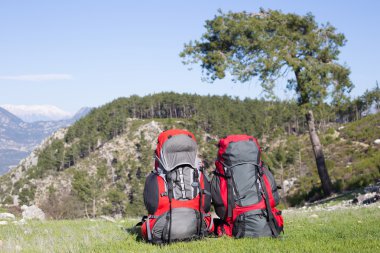 Kırmızı sırt çantası ayakta dağın zirvesinde.