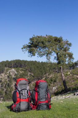 Ormanın ortasında, kamp çadır içinde--dan ateş.