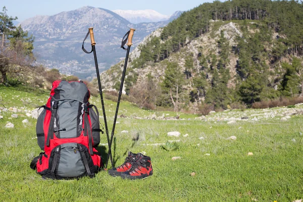 Camping en medio del bosque, disparado desde el interior de la tienda . — Foto de Stock