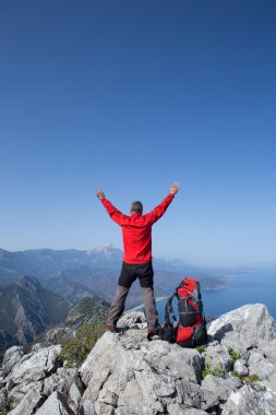 Bir gezgin bir dağın tepesinde duruyor ve denize bakıyor.