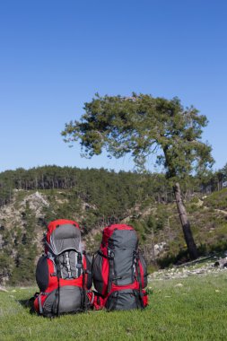 Bir dağın tepesinde duran karlı dağlar arka plan üzerinde sırt çantası.