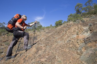 Bir gezgin bir dağın tepesinde duruyor ve denize bakıyor.