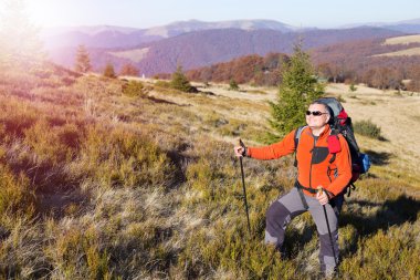 Bir gezgin bir dağın tepesinde duruyor ve denize bakıyor.