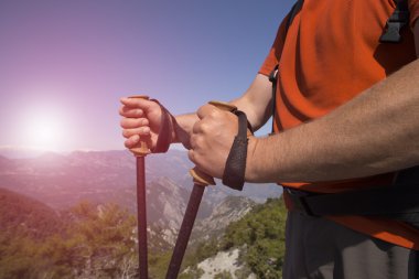 Bir gezgin bir dağın tepesinde duruyor ve denize bakıyor.