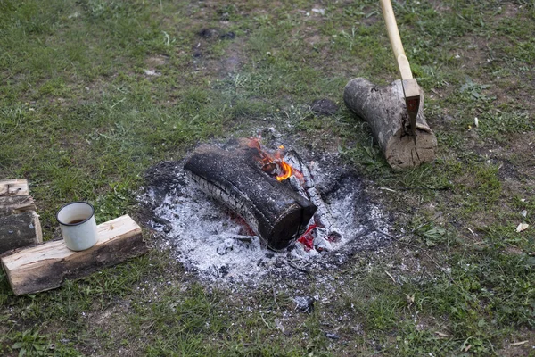 Camping in the woods. — Stock Photo, Image