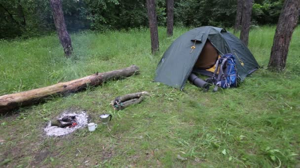 Camping i skogen på stranden av floden. — Stockvideo