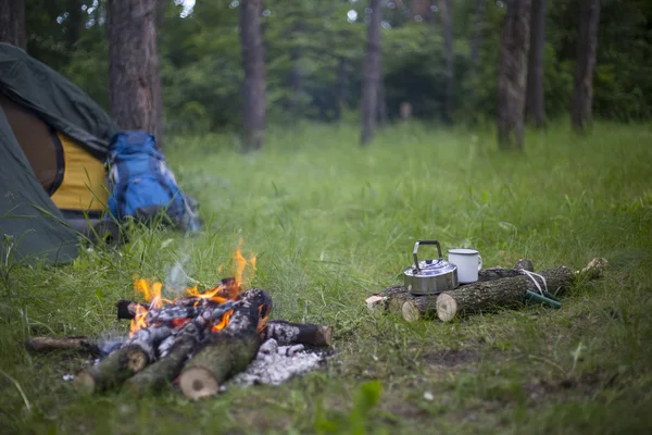 Acampar na floresta . — Fotografia de Stock