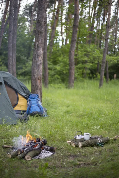 森の中でのキャンプ. — ストック写真