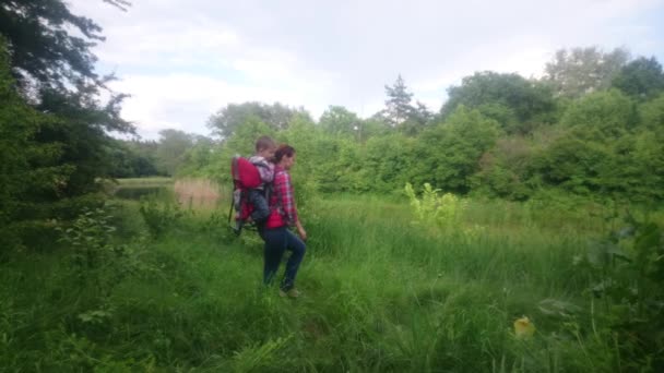 Moeder met een kind dat is wandelen in de bergen. — Stockvideo