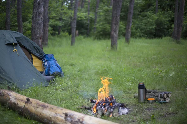 Acampar na floresta . — Fotografia de Stock