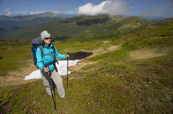 Zomerwandelingen in de bergen. — Stockfoto