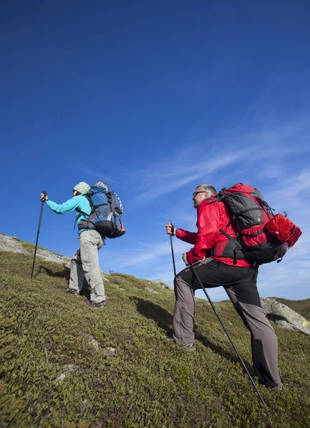 Caminhadas de verão nas montanhas. — Fotografia de Stock