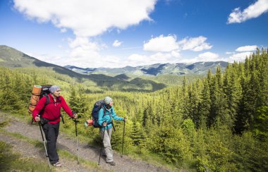 Yaz yürüyüşü dağlarda.