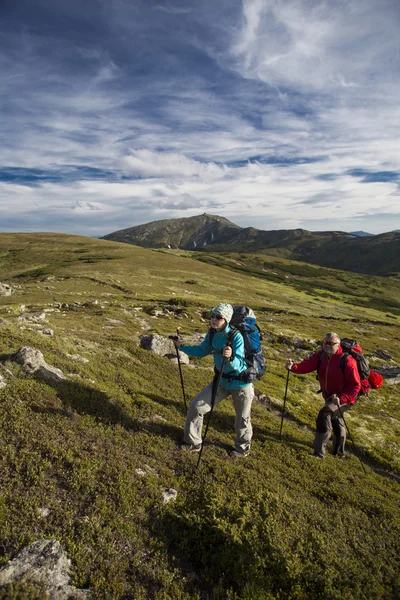 Sommar vandring i bergen. — Stockfoto