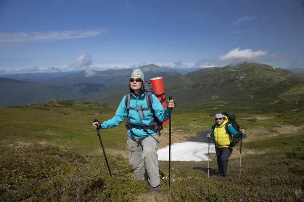 Zomerwandelingen in de bergen. — Stockfoto