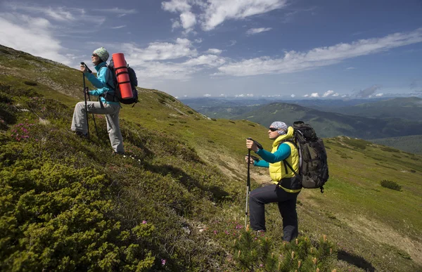 Zomerwandelingen in de bergen. — Stockfoto