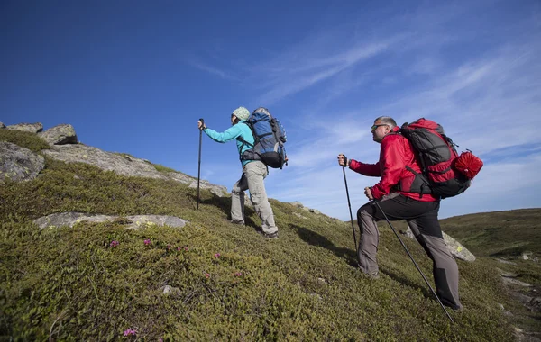 Escursioni estive in montagna. — Foto Stock