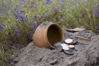 Pot altın sikkelerin metal detektörü, yeşil çim arka plan yardımıyla toplanan.