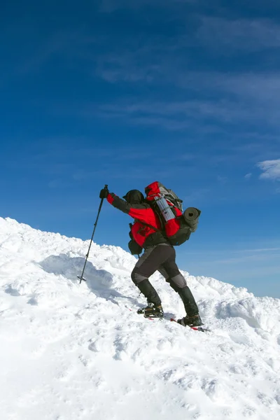 Escursionista in montagna invernale — Foto Stock