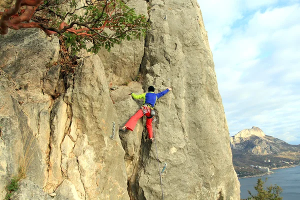 Arrampicatore. — Foto Stock