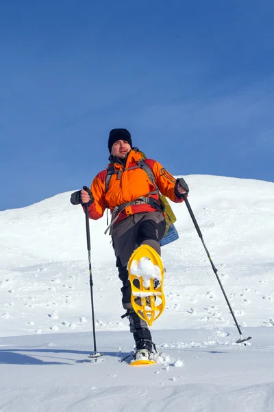 Excursionista en las montañas de invierno — Foto de Stock