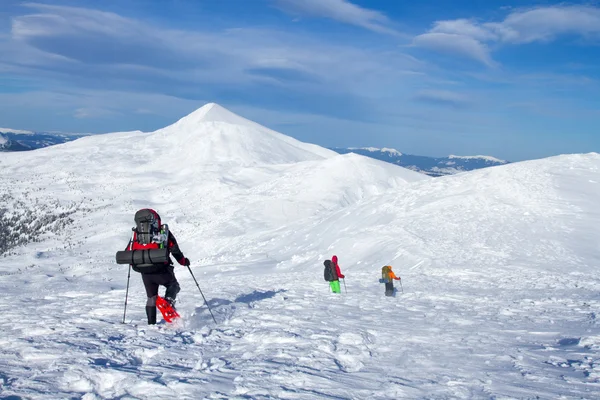 Caminhante em montanhas de inverno — Fotografia de Stock