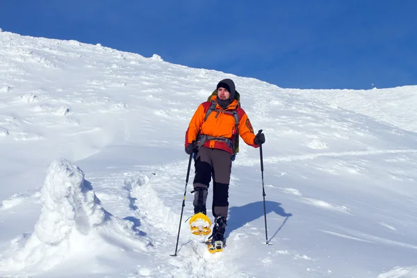 Excursionista en las montañas de invierno — Foto de Stock