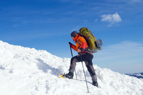 Excursionista en las montañas de invierno — Foto de Stock