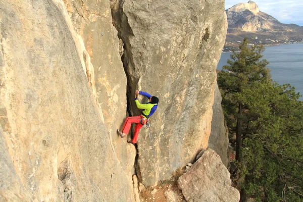 Arrampicatore. — Foto Stock