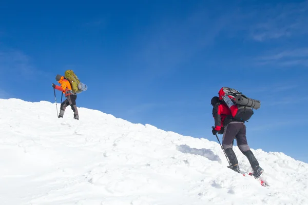 Excursionista en las montañas de invierno — Foto de Stock