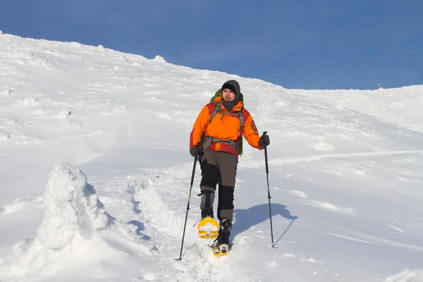 Excursionista en las montañas de invierno — Foto de Stock