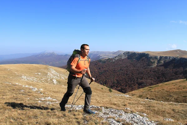 Sonbahar zammı. — Stok fotoğraf