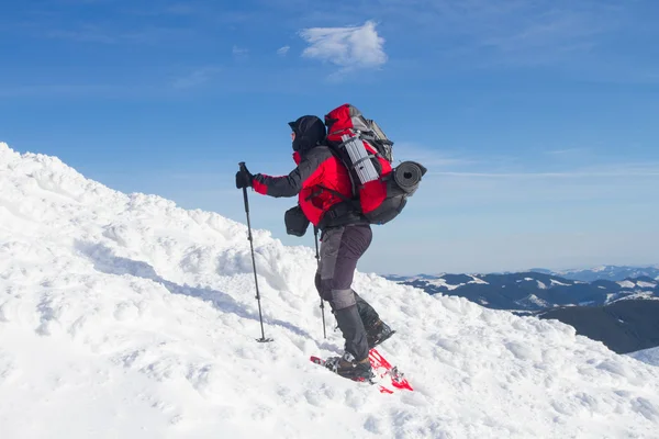 Senderismo de invierno en las montañas en raquetas de nieve con una mochila y tienda de campaña . —  Fotos de Stock