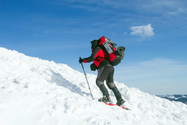 在山里徒步旅行带着背包和帐篷雪的冬天. — 图库照片