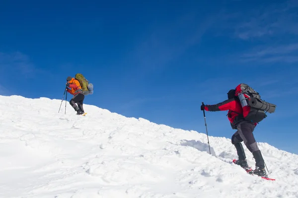 Winter wandelen in de bergen op sneeuwschoenen met een rugzak en tent. — Stockfoto