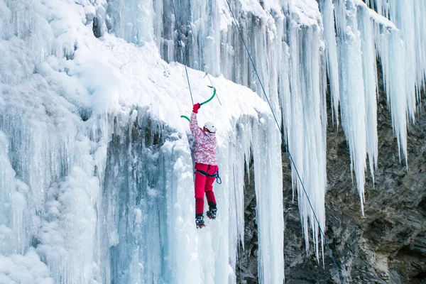 Man climbing frozen waterfall.Ice climbing the North Caucasus. Stock Photo