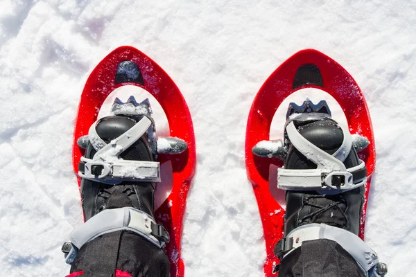 Winter wandelen in de bergen op sneeuwschoenen met een rugzak en tent. — Stockfoto