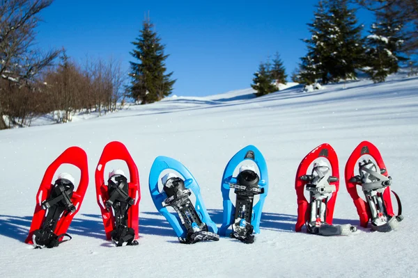 Raquetas de nieve. raquetas de nieve en la nieve . — Foto de Stock